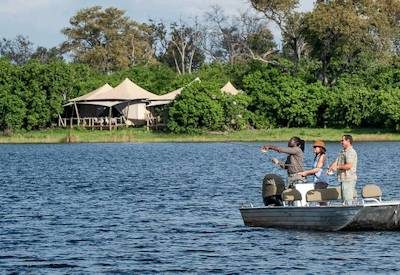 Safari in Botswana 